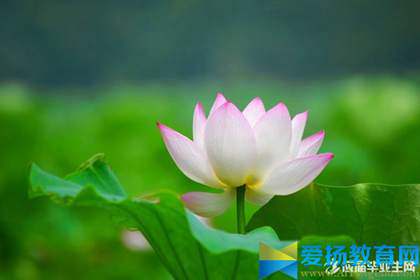 写出有关学习的名言警句