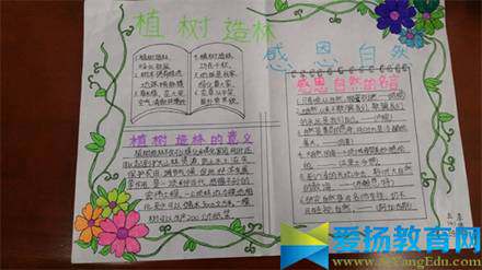 植树节手抄报得奖作品2017