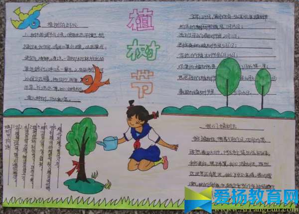 幼儿园大班植树节手抄报图片